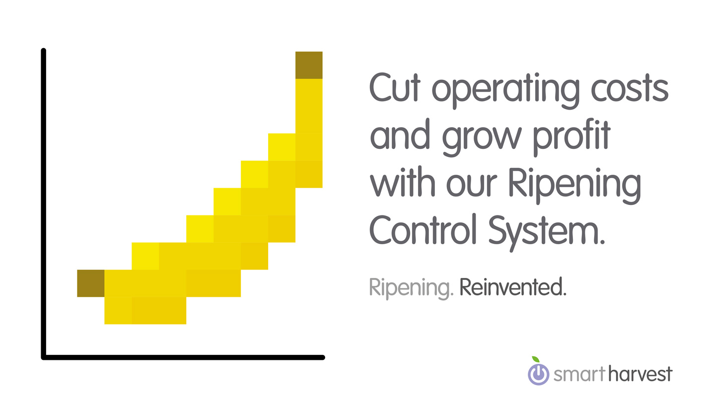 Pixelated banana showing rise in profits