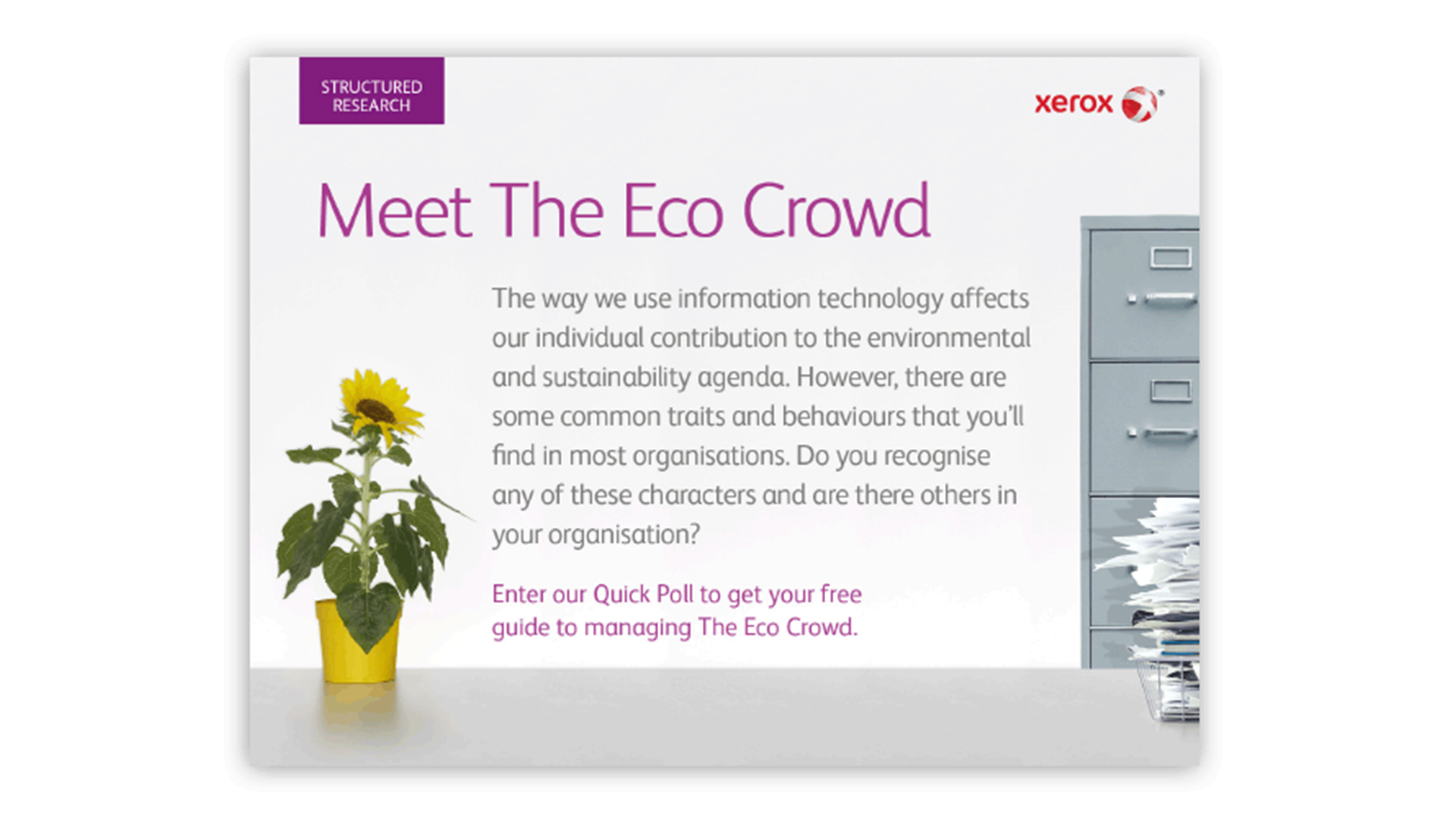 Meet the Eco crowd