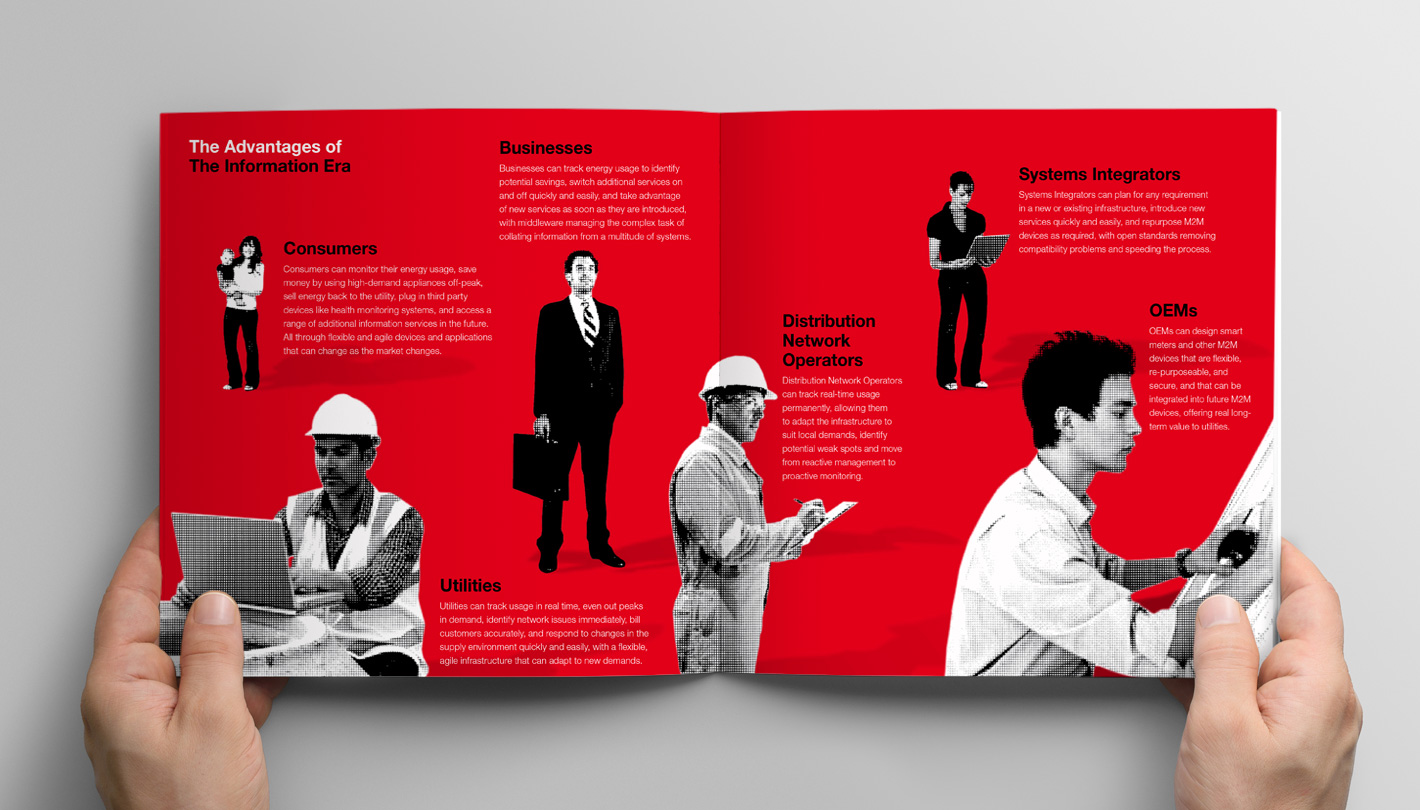 Oracle smart grid brochure - the information era