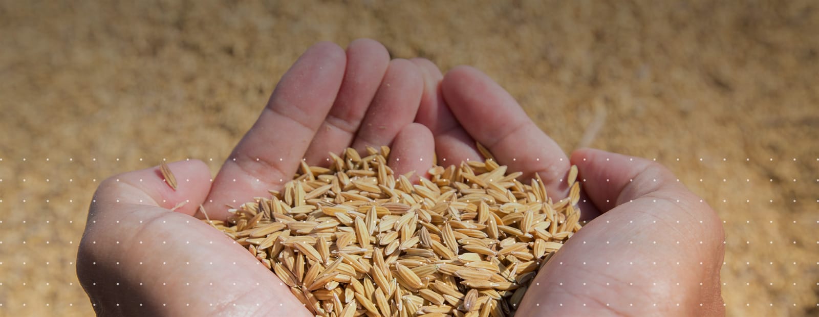 Why content audits sort the wheat from the chaff