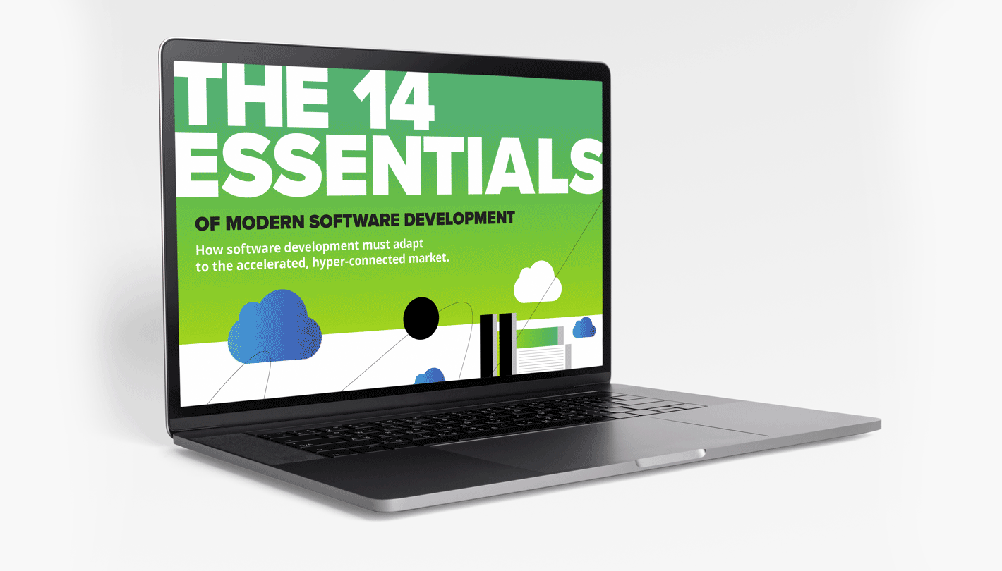 SoftServe - the 14 essentials guide