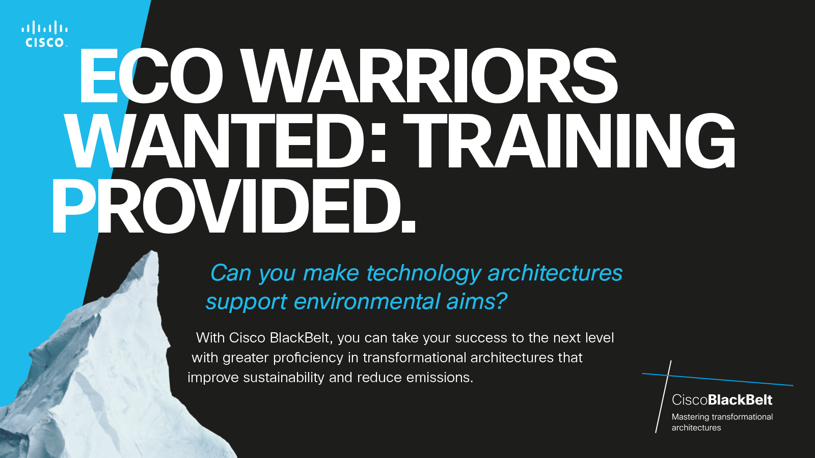 Cisco - Eco warriors wanted