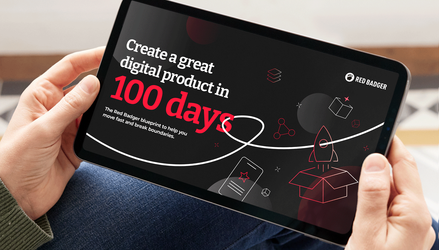 Red Badger 100 days ebook
