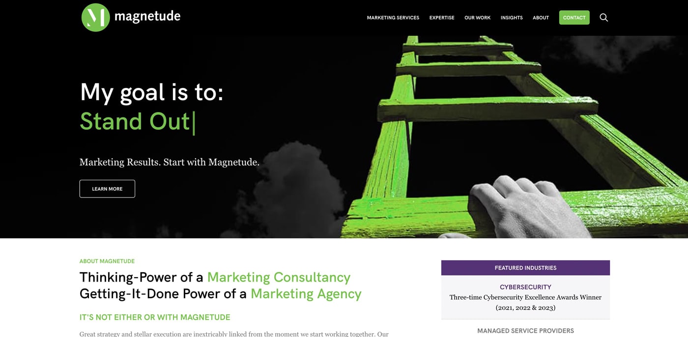 Magnetude website screengrab