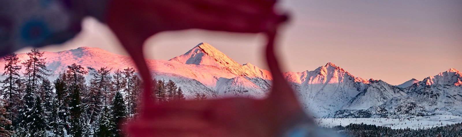 Software blog header