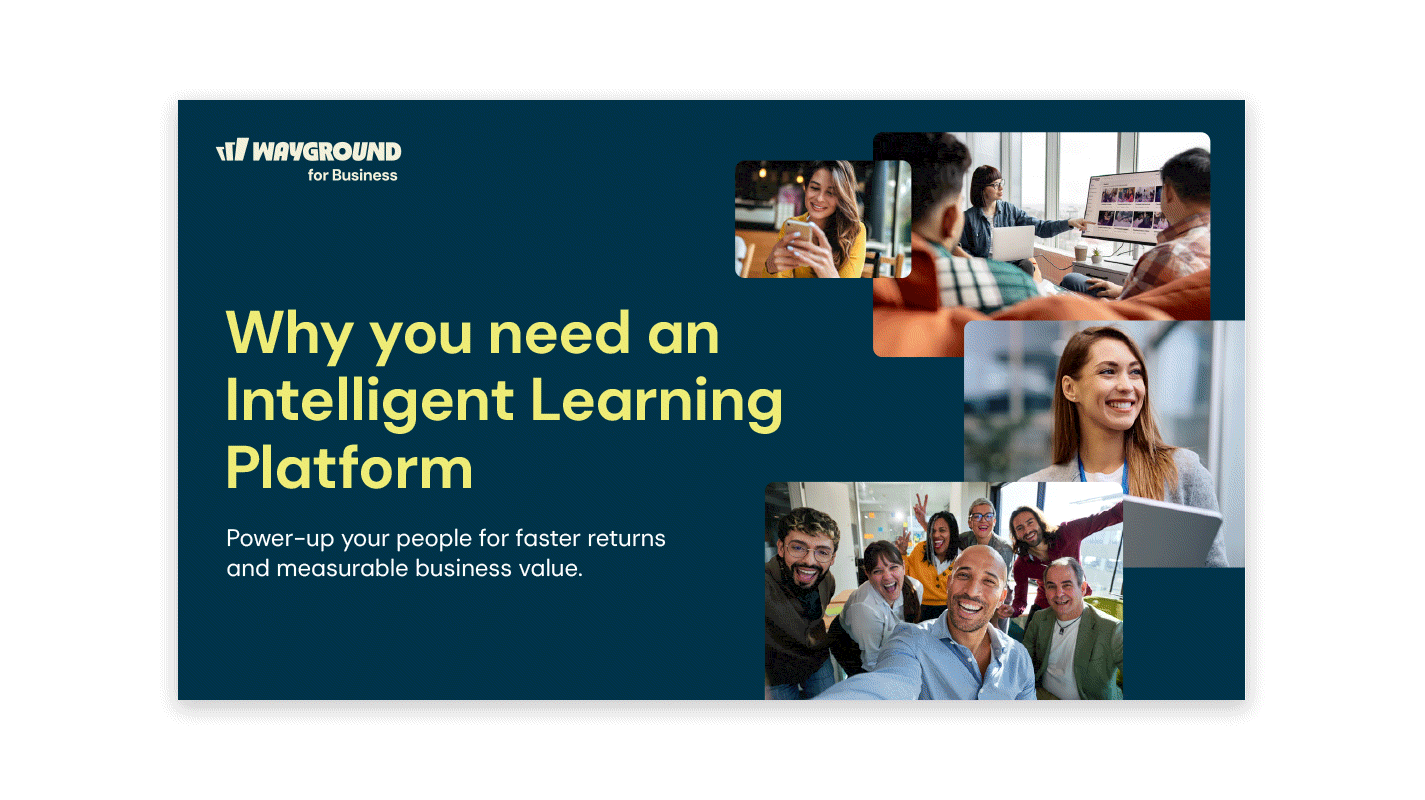 Wayground ebook