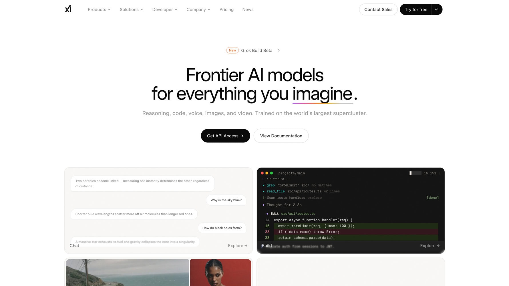 xAI website